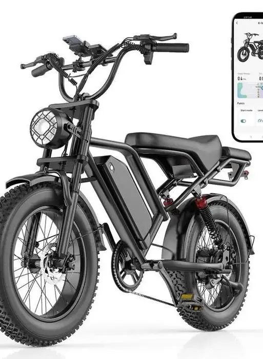 Bicicleta eléctrica Fat Bike de 20" BK20, 48 V, 20 Ah, 50 km/h, autonomía de 80 km