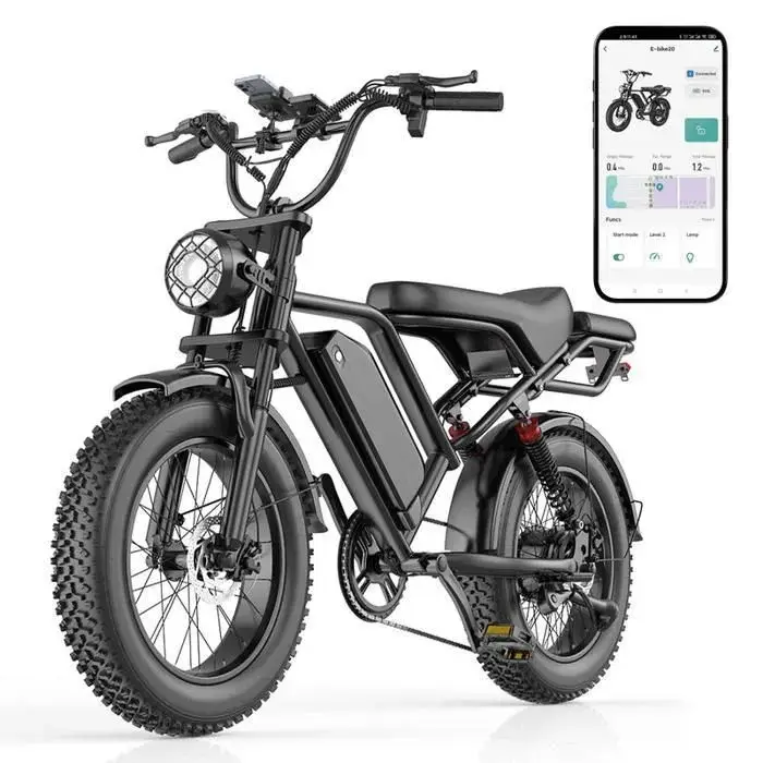 Bicicleta eléctrica Fat Bike de 20" BK20, 48 V, 20 Ah, 50 km/h, autonomía de 80 km