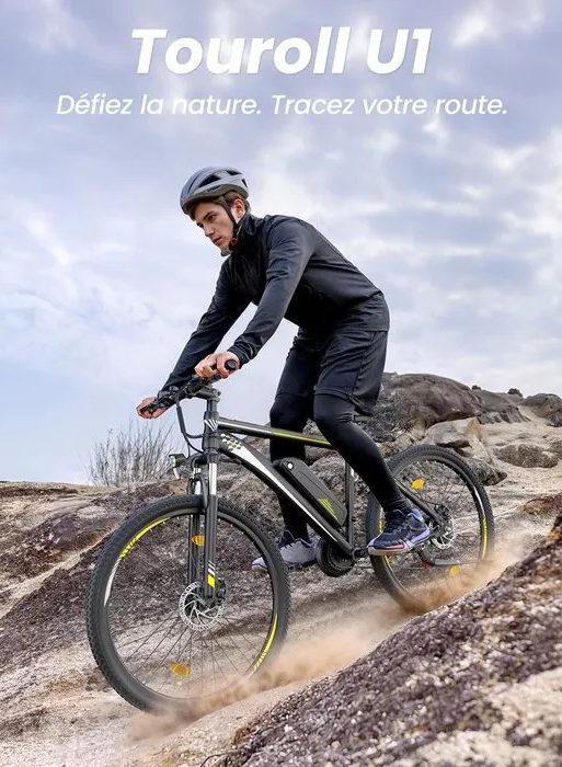 Bicicleta de montaña eléctrica Touroll U1 29 - Motor de 250 W - Batería de 13 Ah