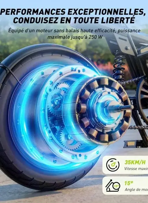 Bicicleta eléctrica plegable EB1S de 14" - 250 W - 36 V 12 Ah