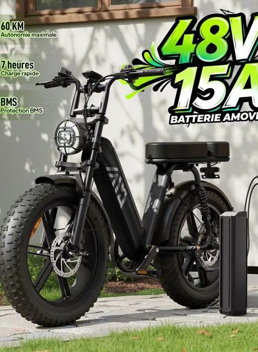Bicicleta eléctrica para adultos (1500 W de potencia máxima) - Neumáticos anchos de 20"