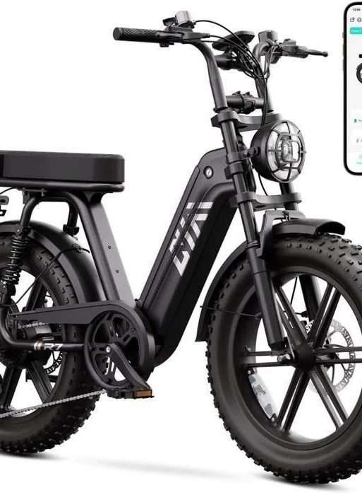 Bicicleta eléctrica para adultos (1500 W de potencia máxima) - Neumáticos anchos de 20"