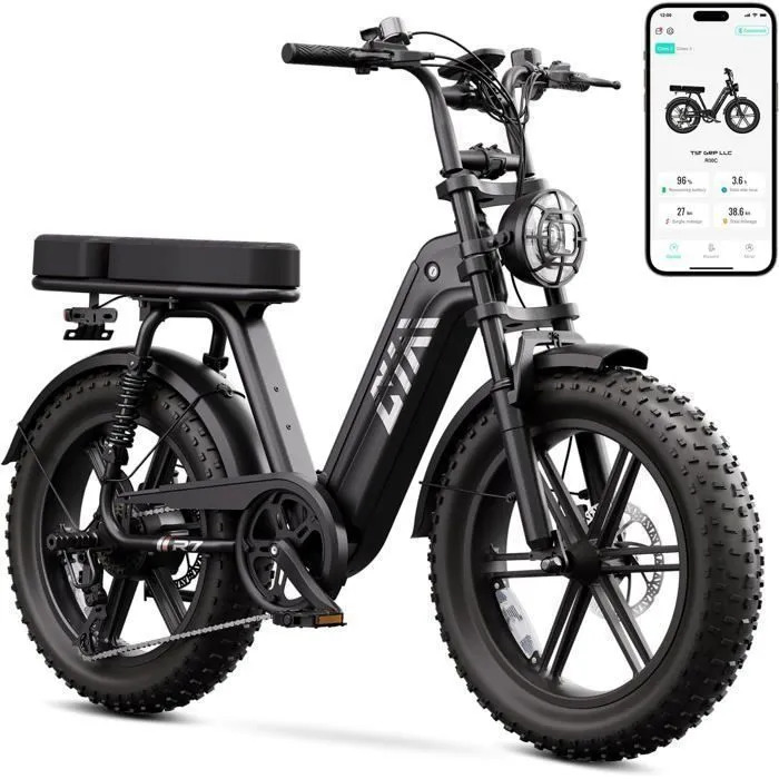 Bicicleta eléctrica para adultos (1500 W de potencia máxima) - Neumáticos anchos de 20"