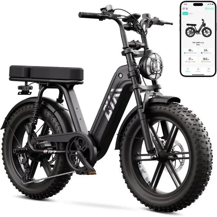 Bicicleta eléctrica para adultos (1500 W de potencia máxima) - Neumáticos anchos de 20" 1 Bicicleta eléctrica para adultos (1500 W de potencia máxima) - Neumáticos anchos de 20"